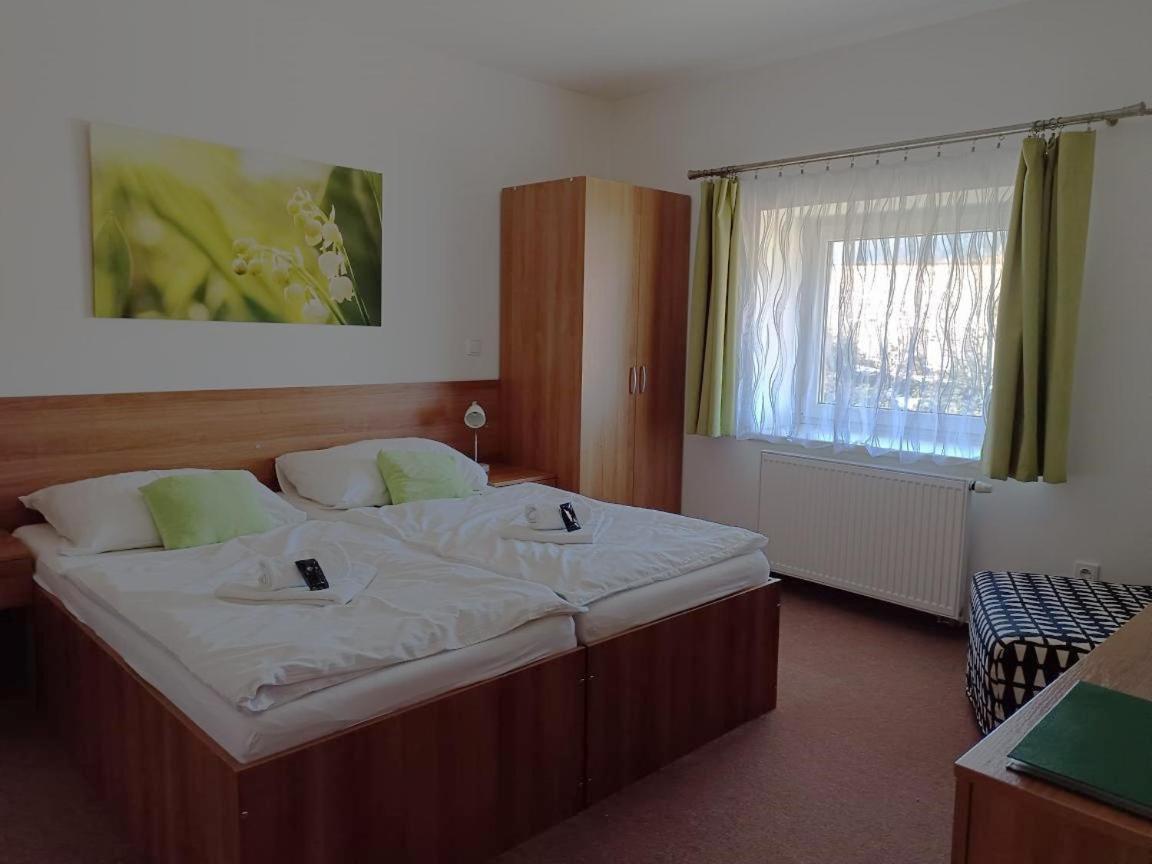 Penzion Jecminek Červená Voda Extérieur photo