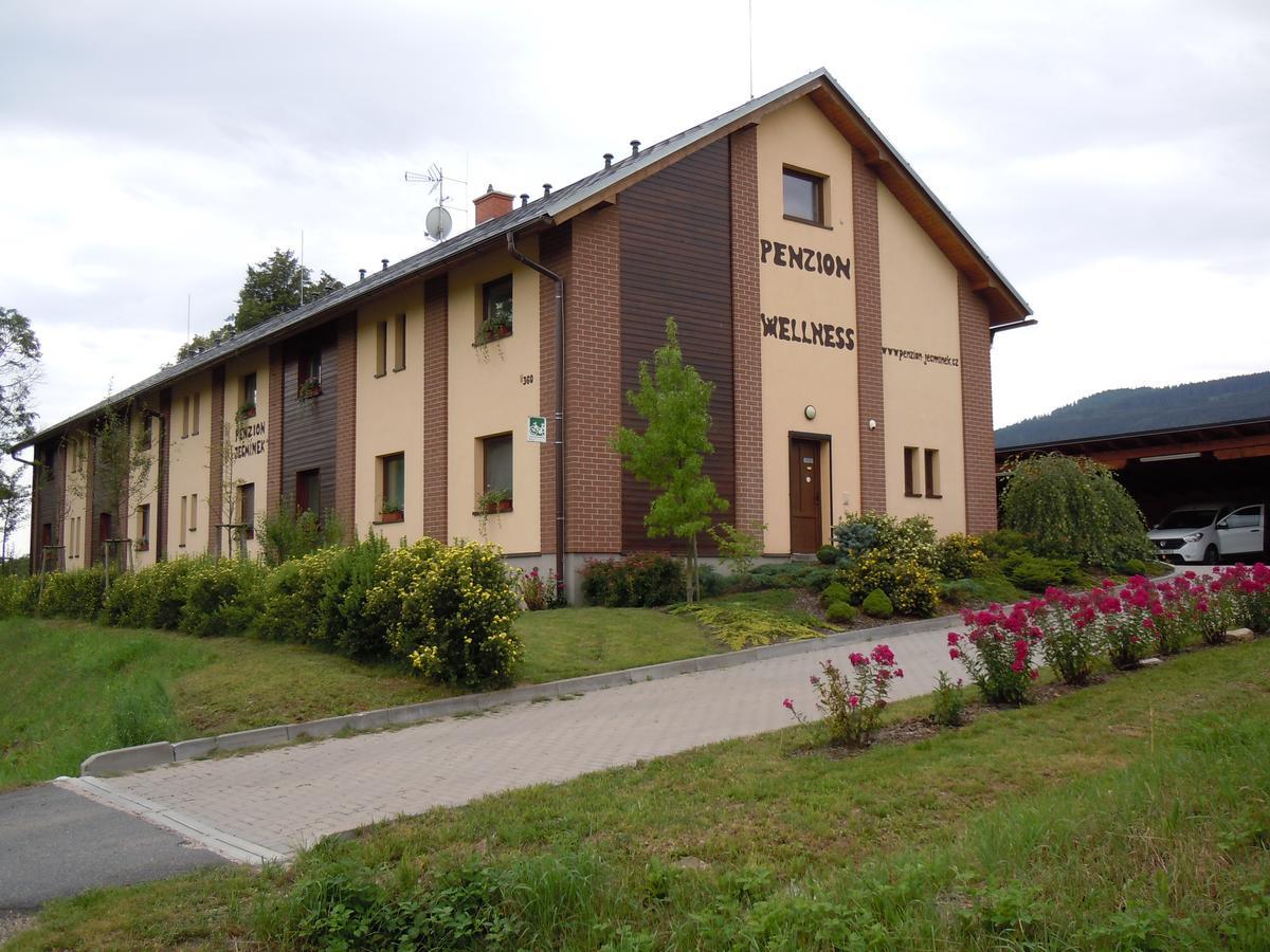 Penzion Jecminek Červená Voda Extérieur photo