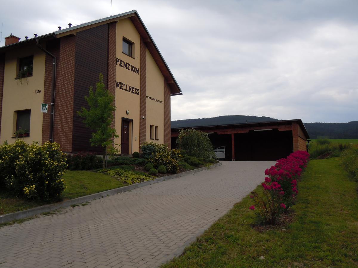 Penzion Jecminek Červená Voda Extérieur photo